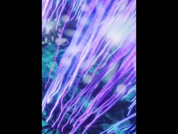 செடியோடு, சாப்ட்வேரை செலுத்தி...