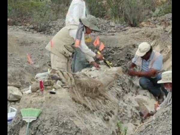 ஹாட்ரசோர்