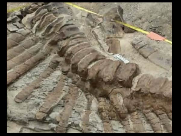 எலும்புகள் பத்திரம்