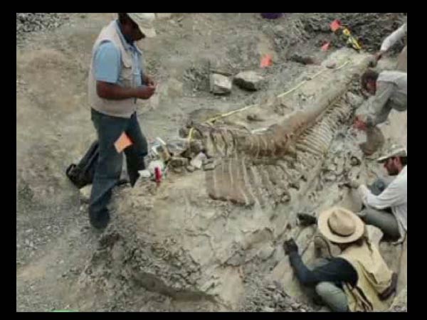 இடுப்பும் இருக்கிறது