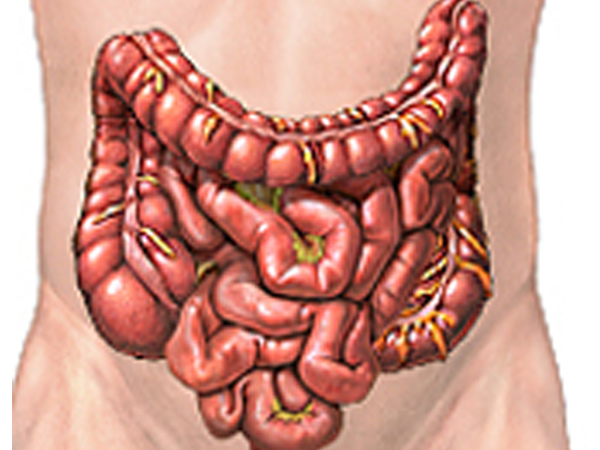 குடலை வெட்டி ஒட்டுதல்…