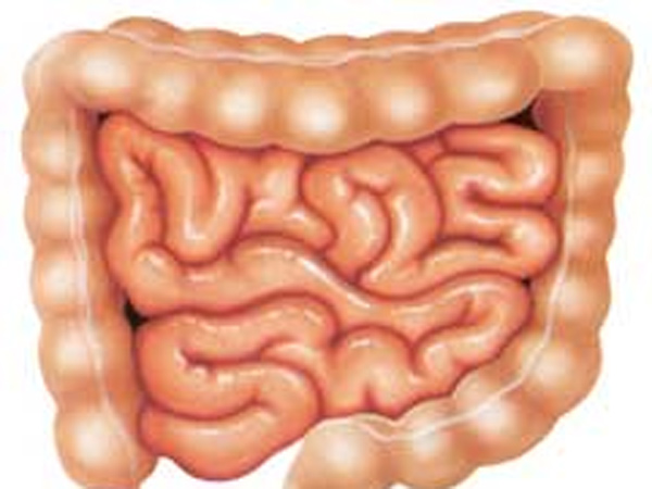 நாடாப்புழு சிகிச்சை