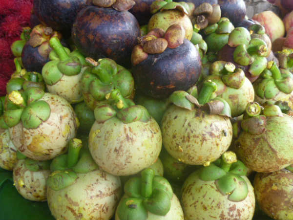 பழக் கண்காட்சி பழக் கண்காட்சி