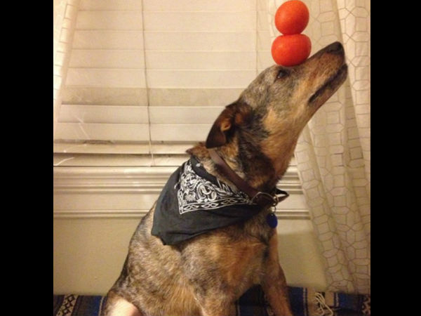 ரொம்ப ஸ்டடியாக்கும்... ரொம்ப ஸ்டடியாக்கும்...