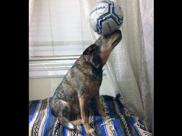 தண்ணீ பட்ட பாடு... தண்ணீ பட்ட பாடு...