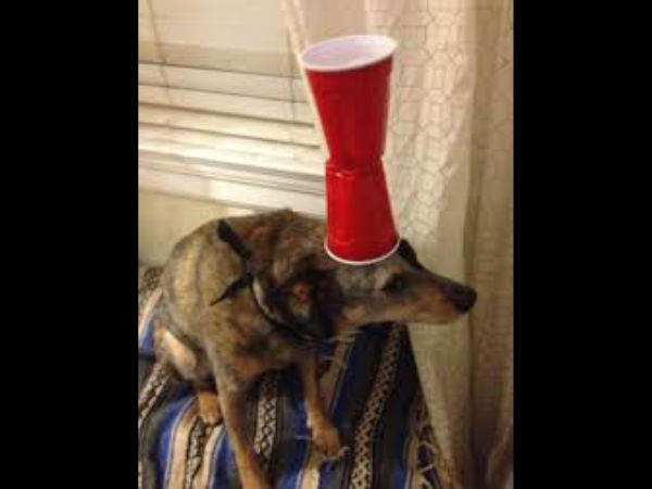 சபாஷ், சரியான போட்டி... சபாஷ், சரியான போட்டி...