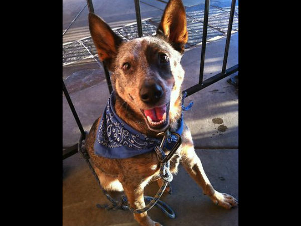 என்கிட்ட மோதாதே... என்கிட்ட மோதாதே...