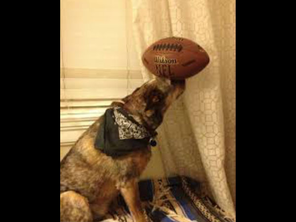 அலுங்காமல்... குலுங்காமல்... அலுங்காமல்... குலுங்காமல்...