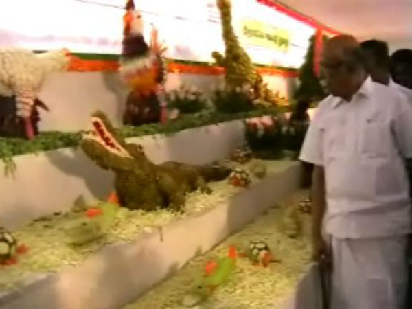 வனவிலங்குகள்
