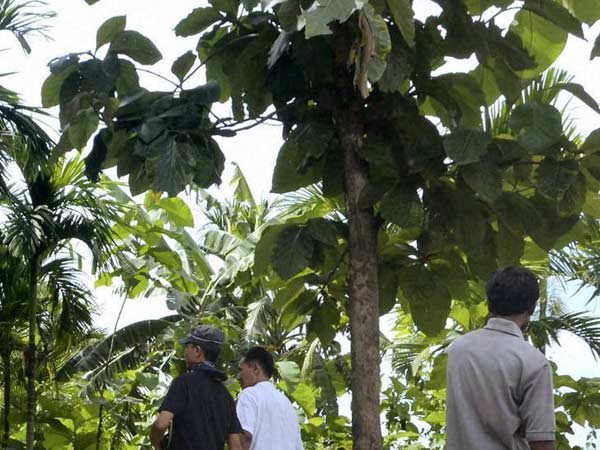 இப்பெல்லாம் காற்றும் கூடவே