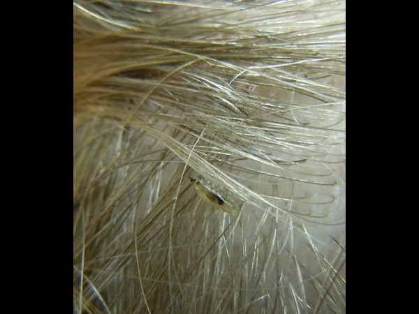 உடல் கூட்டில்....