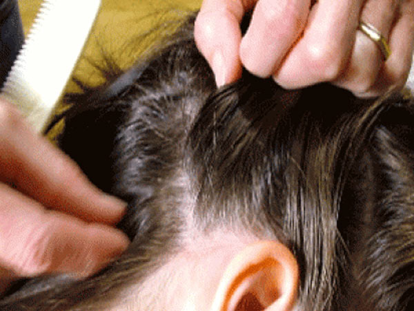 பாம்பு மாதிரி...