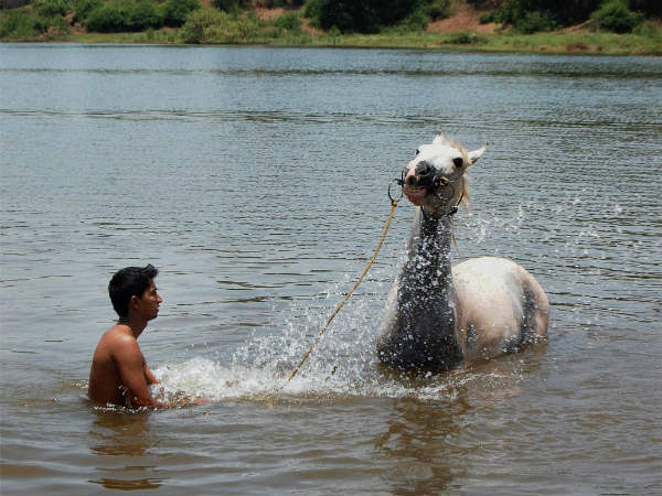 நீர்வளம் நிரம்பிய தெலுங்கானா நீர்வளம் நிரம்பிய தெலுங்கானா