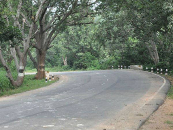 பாதிப் பரப்பளவு இங்குதான் பாதிப் பரப்பளவு இங்குதான்