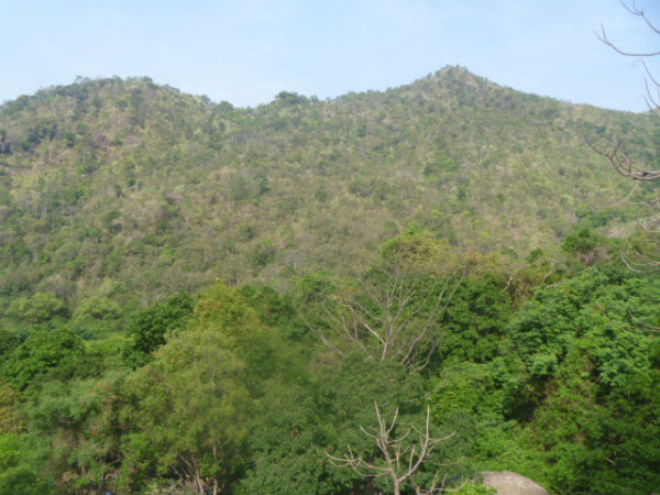 சதுரகிரி கோவில்