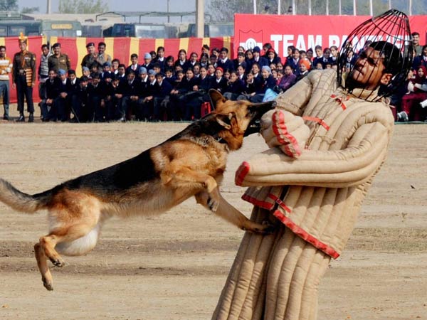 பொதுமக்கள் எதிர்ப்பு... பொதுமக்கள் எதிர்ப்பு...