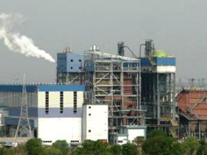 NGT permists Sterlite to function NGT permists Sterlite to function