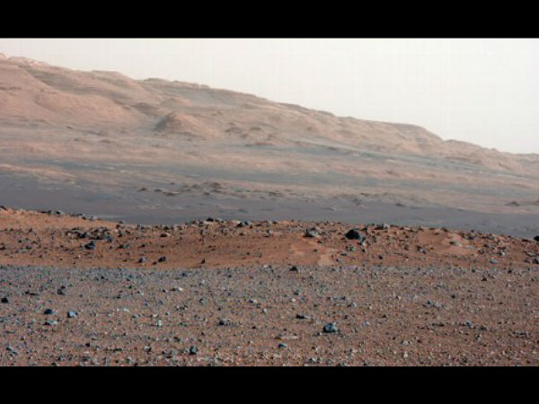 சி.இ.ஓ தகவல்