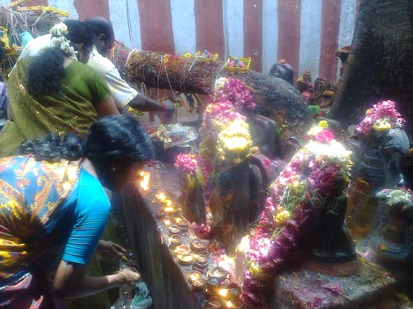 பாம்பு புற்றுக்கு பால்