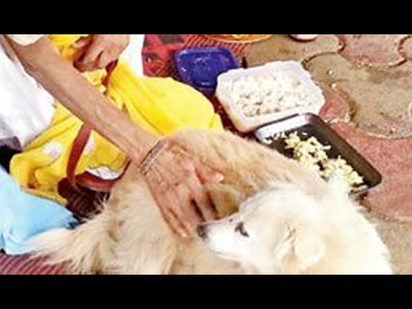நாயை விட்டு வர முடியாது