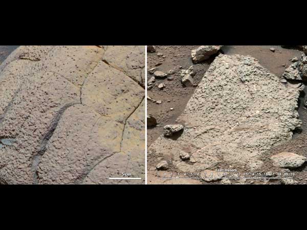 பெங்களூருவாசிகள் அதிகம்