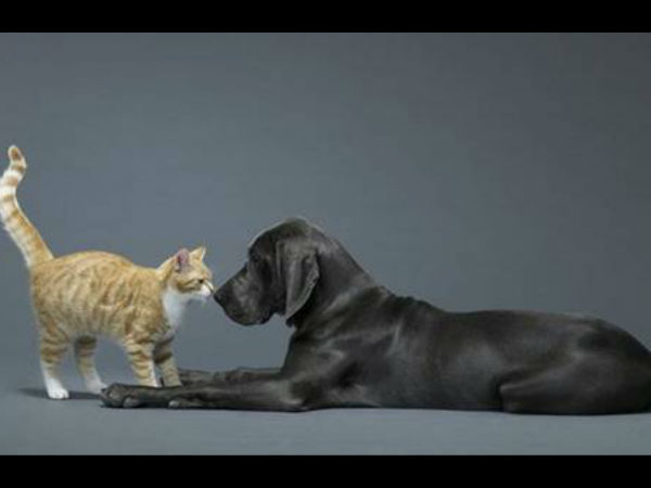 புதிய சாதனை...