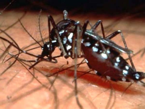 திருடன் மாதிரி பாக்குறாங்க பாஸ்..