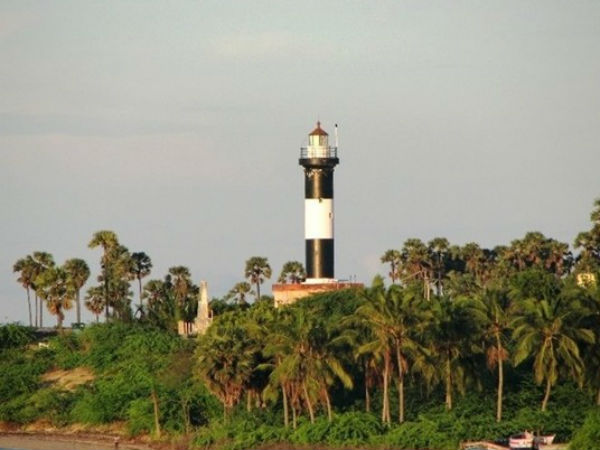 அது மட்டுமா...?