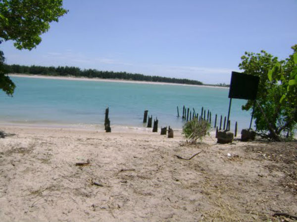 ஸ்டீவ் வாக் கிளாஸ்மேட் பிக் ஷோ..!