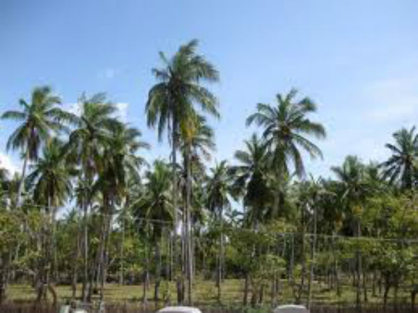 ஸ்டீவ் மாதிரி நான் இல்லை