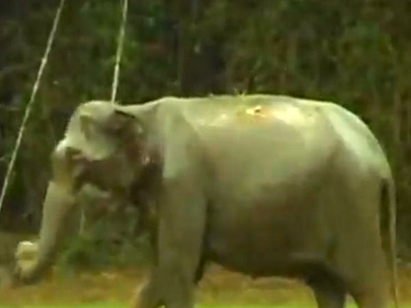 மயக்க மருந்து