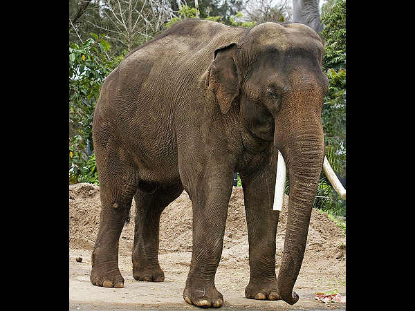 விடிய விடிய போராட்டம்