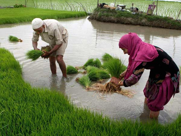 விளைநிலத்தை கையகப்படுத்த எதிர்ப்பு