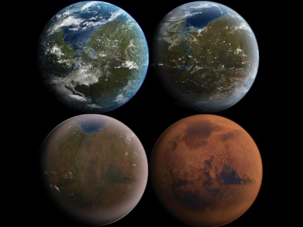 எப்படி உருவாயின உயிர்கள்....