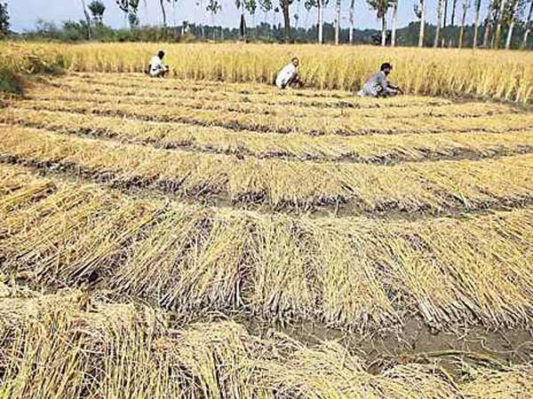 தமிழகத்திற்கு எதிரானது