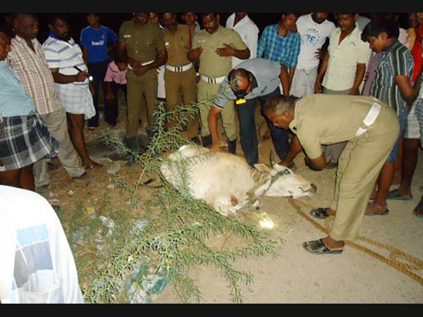 காயல்பட்டம் திருவள்ளுவர் தெரு