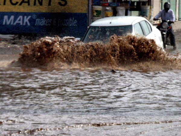 மரங்கள் வேரோடு சாய்ந்தன