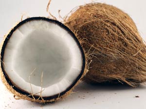 தேங்காய் 