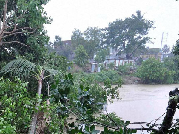 36 மரங்கள் சாய்ந்தன