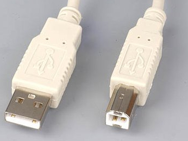 தாண்டி வர முடியாதுல்ல..