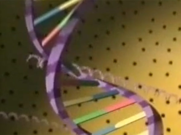 ரத்த அழிவு சோகை