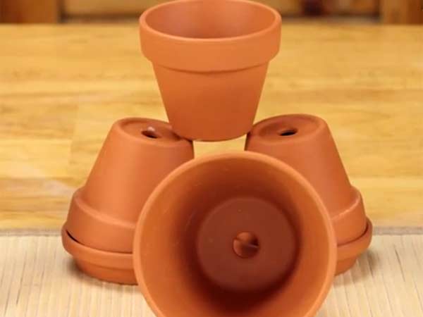 எங்களுக்குத்தேன் தெரியும்...