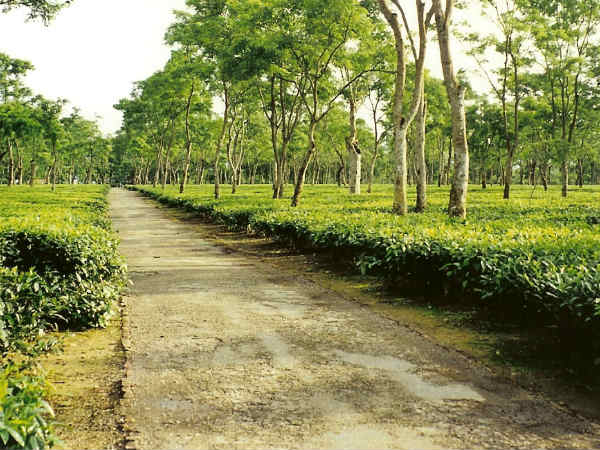 மிகக் குறைந்த வளர்ச்சி பெற்ற மாநிலங்கள்