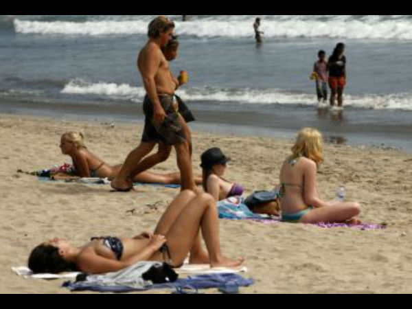 கிளை அமைப்புகள்....