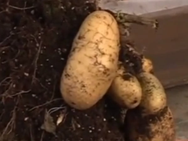 நம்பினால், நம்புங்கள்....