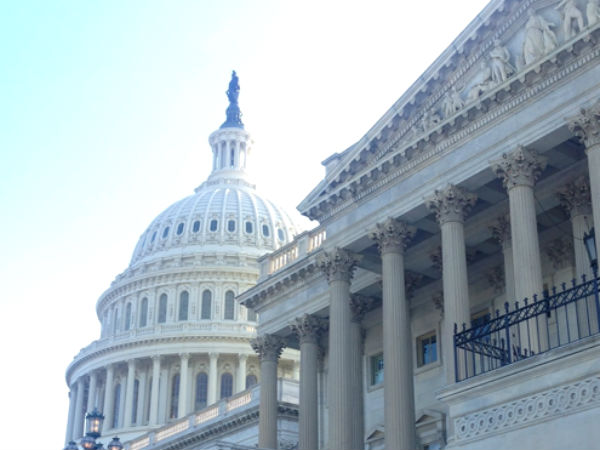 ஓட்டு அரசியல்தான்