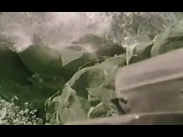 வீரப்பன் வேட்டையில் பிரபலமானவர்