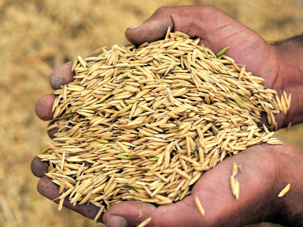 கால்வாசி பேர் கால்வாசி பேர்