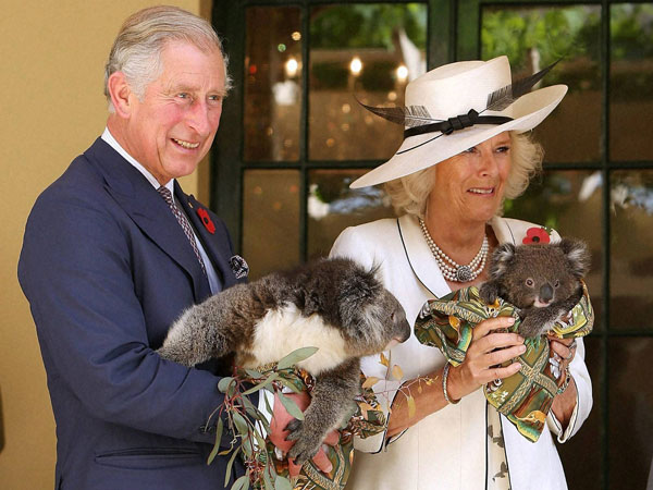 8வது முறை...