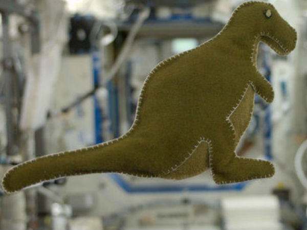 டைனோசர்....